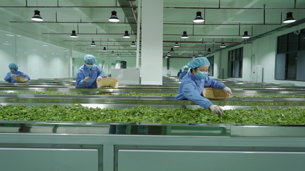 響應式網站建設