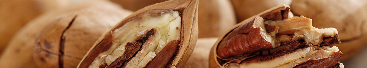 網(wǎng)上商城網(wǎng)站建設(shè)